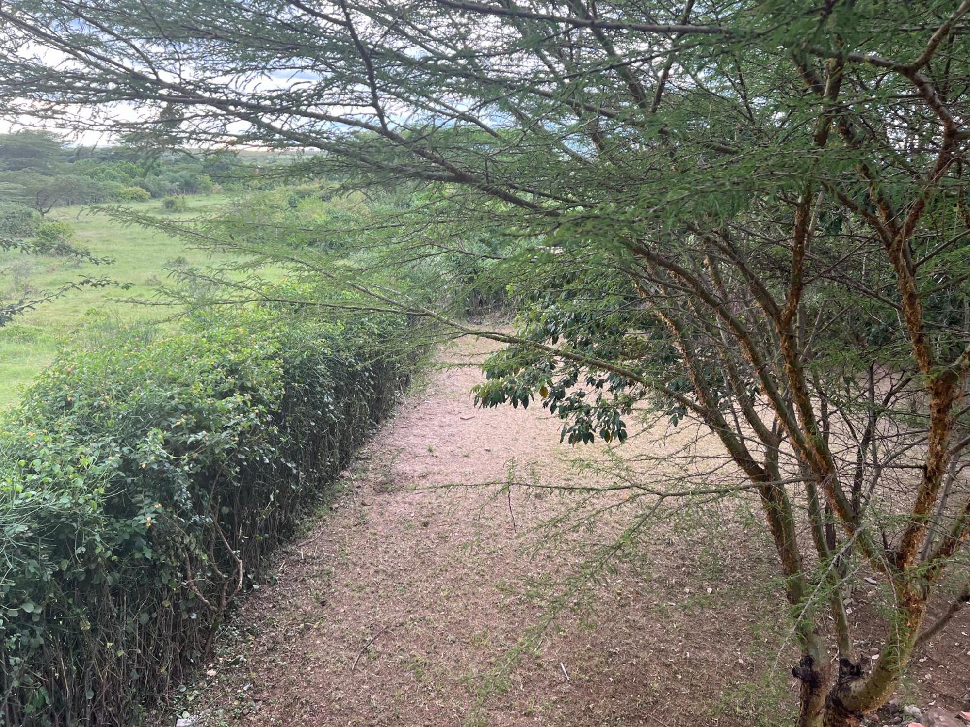 マサイマラ国立保護区 Olaloi Mara Campヴィラ エクステリア 写真